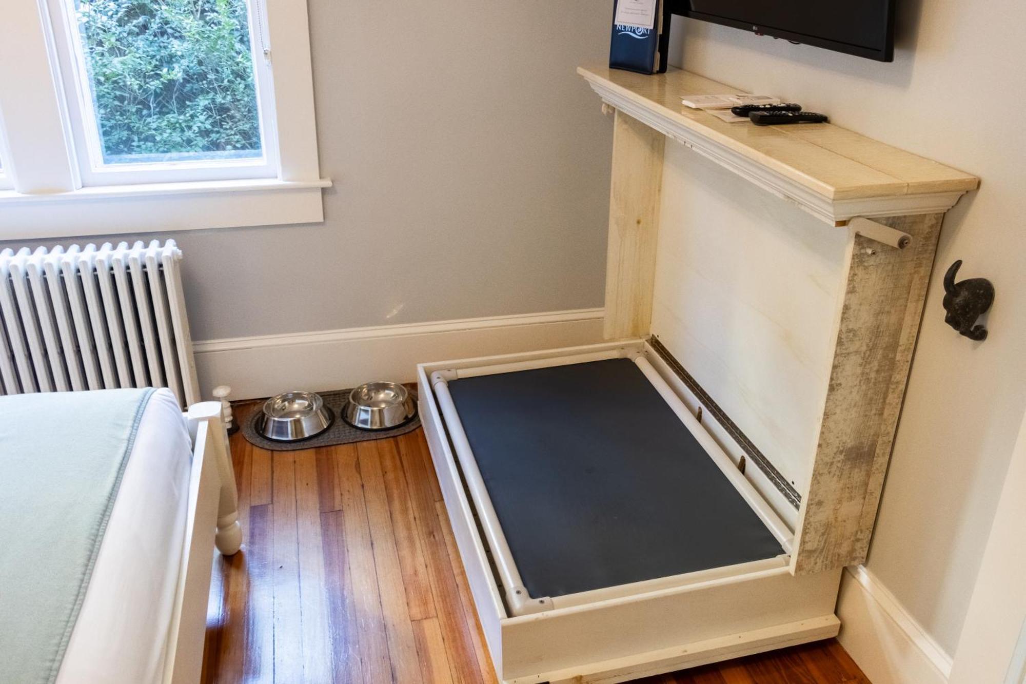 Paws On Pelham (Adults Only) Bed & Breakfast Newport Luaran gambar