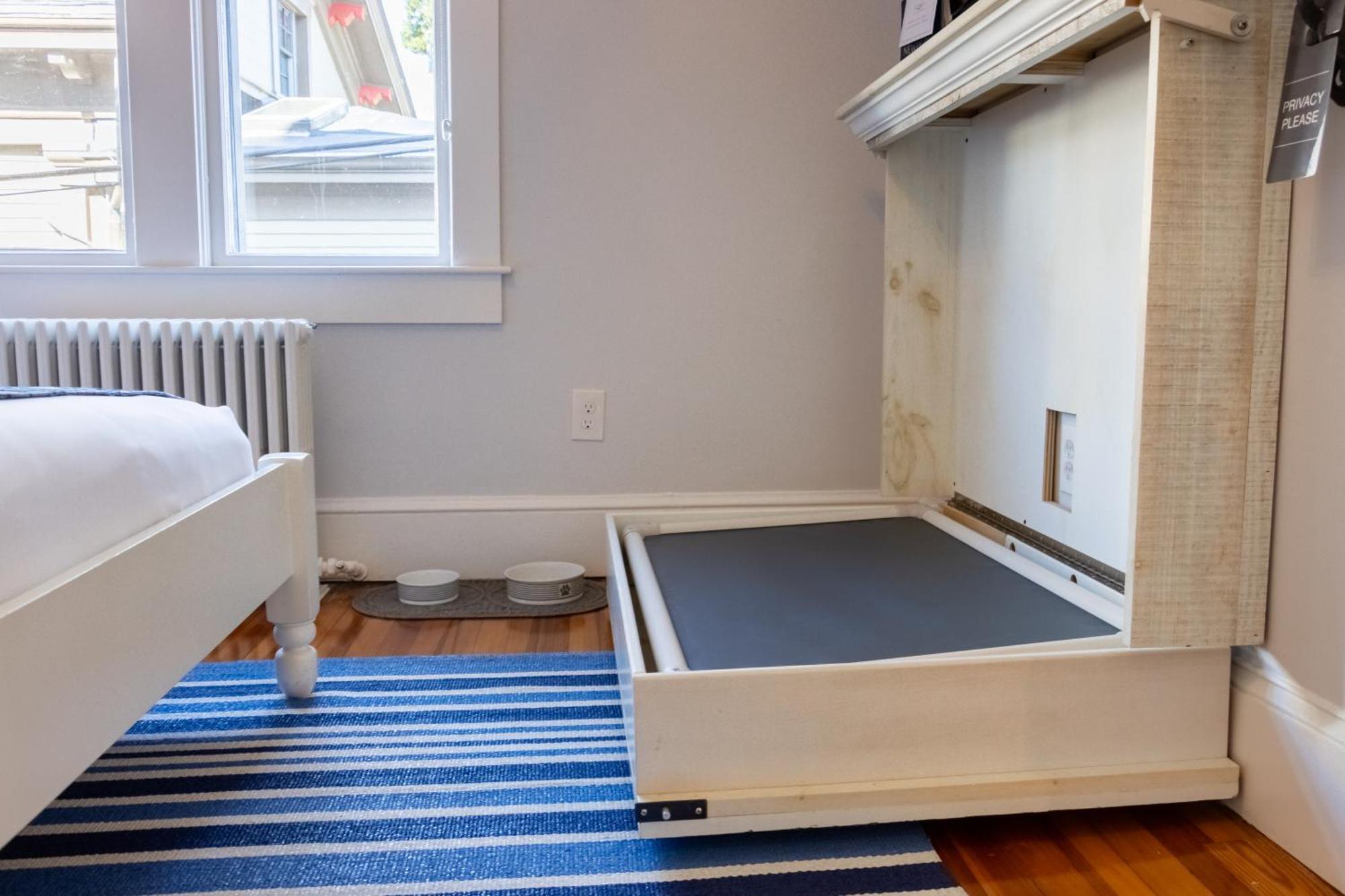 Paws On Pelham (Adults Only) Bed & Breakfast Newport Luaran gambar