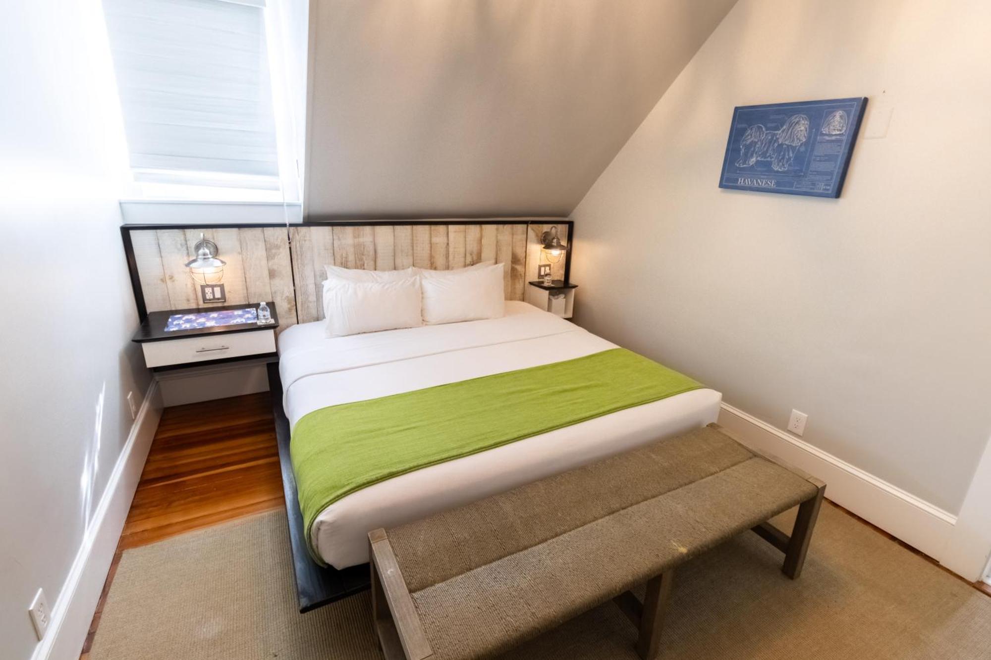Paws On Pelham (Adults Only) Bed & Breakfast Newport Luaran gambar