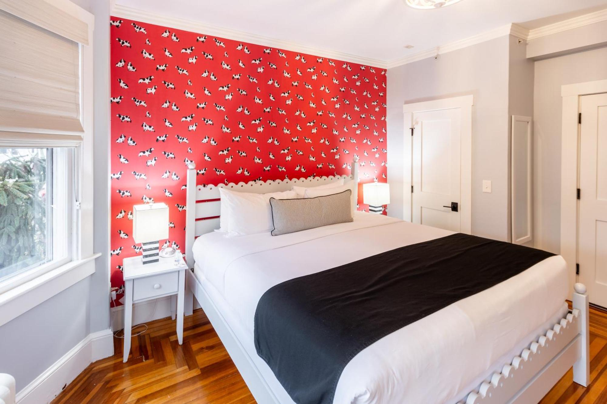 Paws On Pelham (Adults Only) Bed & Breakfast Newport Luaran gambar