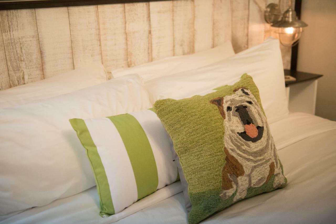 Paws On Pelham (Adults Only) Bed & Breakfast Newport Luaran gambar